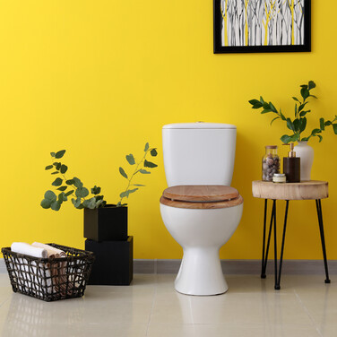 Relaxdays Toilet Seat with Soft-Close Mechanism