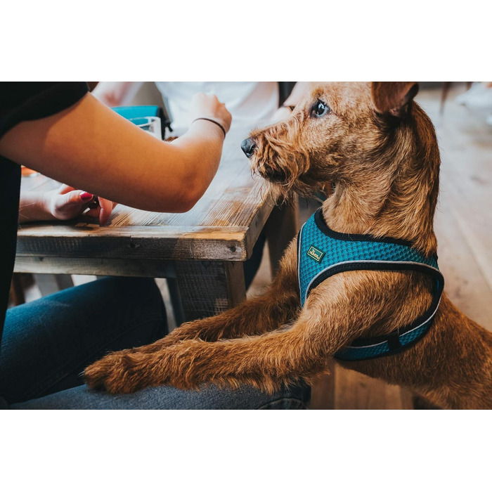 Нашийник для собак HUNTER HILO COMFORT, турквіс, S-M. Легкий, з сітчастого матеріалу, з відбиваючими елементами, зручний, для маленьких та середніх собак.