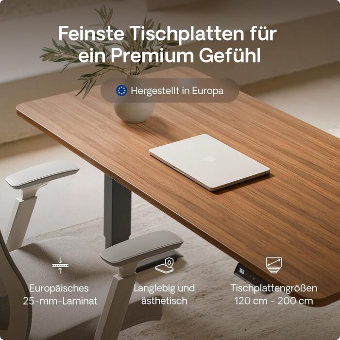 Електричний регульований стіл Desktronic HomePro 160x80 см з двома моторами, сенсорним керуванням та USB-портами (чорний + горіх)