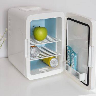 Flamingueo 10L Mini Fridge - 12V/220V Cosmetic & Skincare Fridge with LED & Mirror