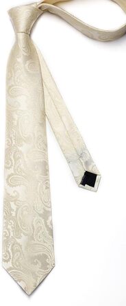 Краватка та нагрудна хустинка Enlision для весілля: шовковий комплект Paisley з латунними застібками для манжетів, бежевий/шампань