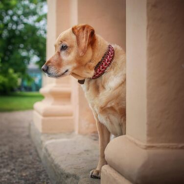 FairPaw Dog Collar Wide Paracord - Sustainable & Handmade - Wide Dog Collar for Large Dogs - Braided Dog Collars - Adjustable Dog Collar, For Medium & Large Dogs, Red S