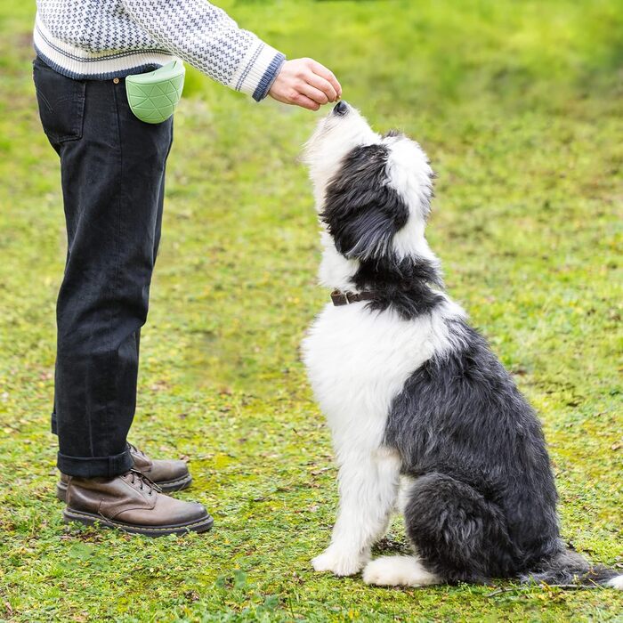 Набір силіконових мішечків для корму Navaris для собак (2 шт.) - мішечки для ласощів, сухого та вологого корму з кліпсою та магнітом - сірий & червоний (зелений/сірий)