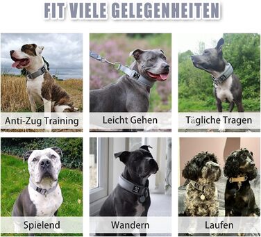 Нашийник для собак з неопрену (4см) з відбиваючими елементами, міцний нейлон, стопор, комфортний, для дресирування, проти ривка, для малих, середніх та великих собак, сірий, L (45-56см)