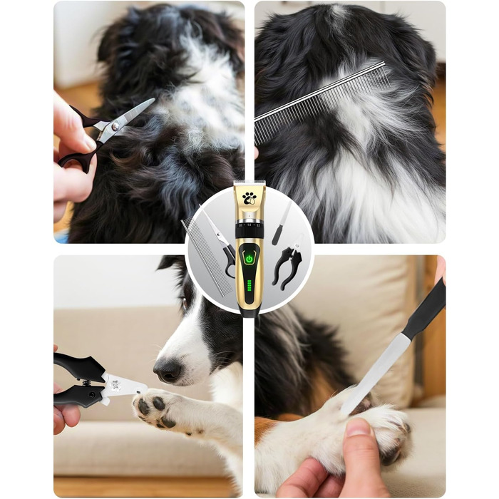 Професійна машинка для стрижки собак та котів Leise, електрична бездротова, 2 швидкості (Золота)