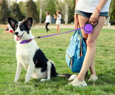 Висувна поводок для собак Taglory, 5м, для середніх та великих собак до 45кг, з надійною системою гальмування та антиковзним руків'ям (фіолетовий)
