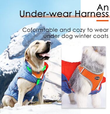 Шлейка для собак ThinkPet No-Pull, дихаюча, для малих, середніх та великих собак, регульована, м'яка, для прогулянок, з контролем, з підкладкою, світловідбиваюча (Помаранчевий, S, 1 шт.)