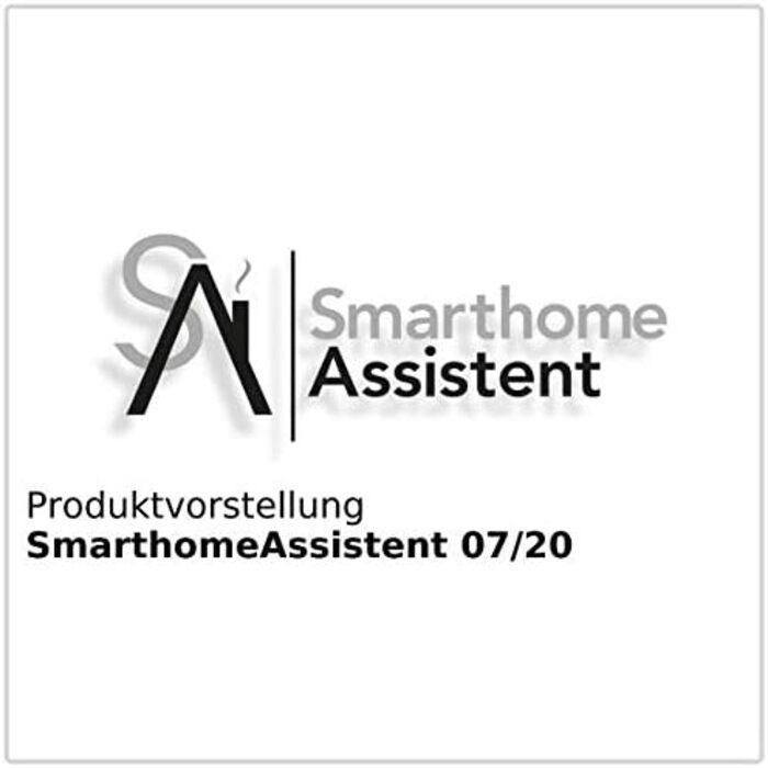 Вентилятор Sichler: Турбо-вентилятор з іонізатором, Wi-Fi, керуванням через додаток та голосовими помічниками (Siri, Alexa, Google Assistant)