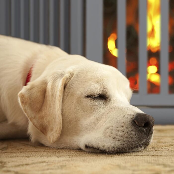 Захисне ворота для собак Relaxdays, сіре, 70 x 154 см, розкладне, з дверцятами та ніжками, самостійне