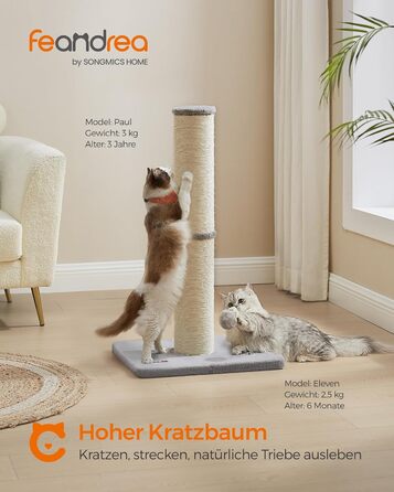 Feandrea Cat Tree, 85 cm tall, scratching post, 13 cm thick trunk, cat tree, scratching trunk for medium and large cats, sisal trunk, with plush ball and bell, Dove Gray PCA041G01