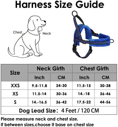 Нашийник для собак LowTon з повідком, анти-тягнучий, регульований, світловідбиваючий, для цуценят та малих/середніх собак, чорний (XS, Синій)