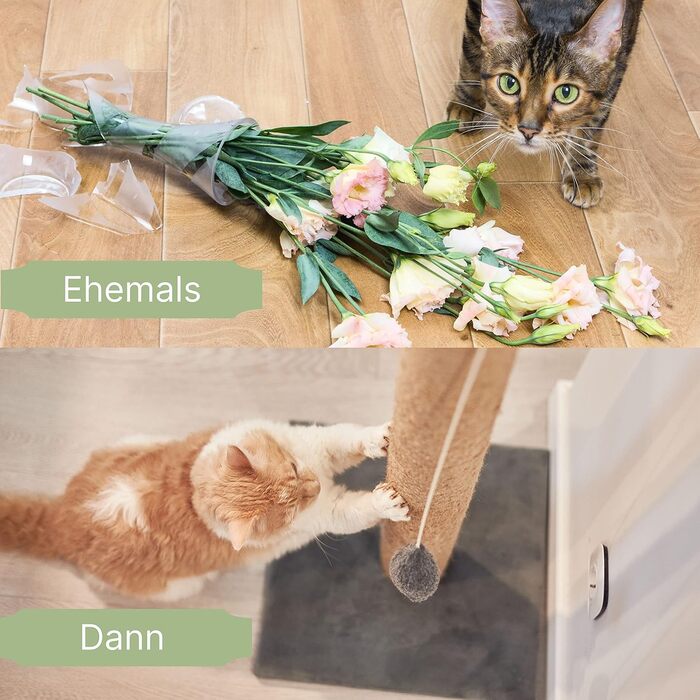 Драбина для котів Mobiclinic® Pets Silvestre, сіра, середнього розміру, з платформами та укриттям
