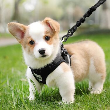 Автомобільний поводок для собак, безпечний, регульований, з надійним замком та амортизатором, чорний