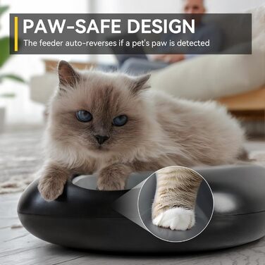 Автоматичний годівник для котів All for Paws: бездротовий, для вологого та сухого корму, з 2 акумуляторами охолодження, програмований таймер, індикатор низького заряду, USB