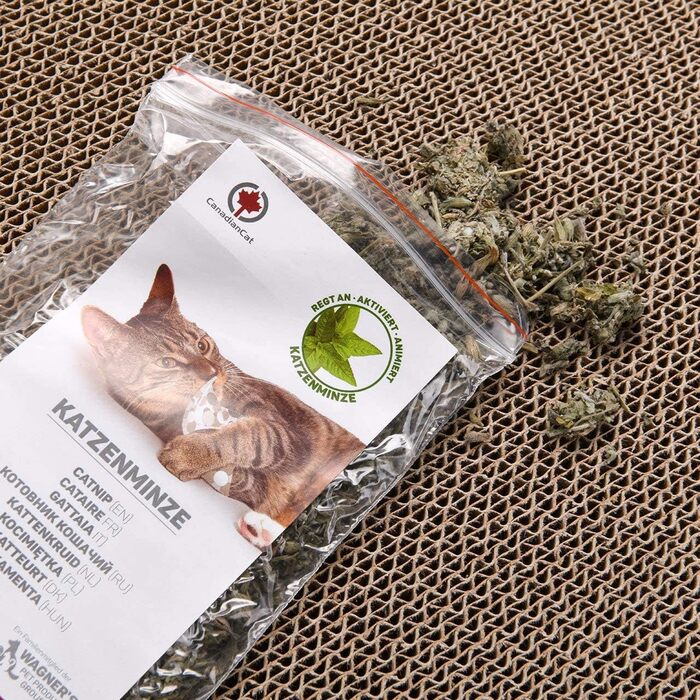 Котячий будиночок Orbit 2.0: когтеточка, лежанка для котів | Темно-сірий | 84 x 24 x 23 см