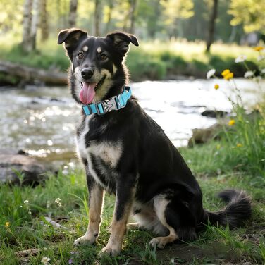 Тактичний нашийник для собак Ledeak з ручкою, регульований, широкий, з м'якою підкладкою, надійний, з металевою застібкою, для дресирування (фіолетовий, синій, L)