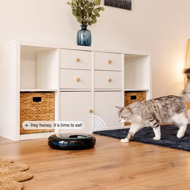 Автоматичний годівниця для домашніх тварин Cecotec Pumba 1600 Purrfect Meal - 1,6 л, 4 відділення, таймер, LED-дисплей, голосовий рекордер