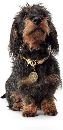 Нашийник для собак HUNTER List, бежевий, S-M, міцний, водостійкий, гнучкий