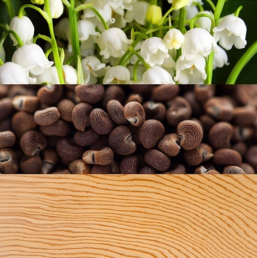 Парфумована вода для жінок Calvin Klein Beauty, 100 мл