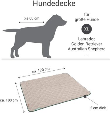 Підстилка для собак Doctor Bark з флісу, двостороння - м'яка та міцна, для великих собак. Можна прати до 95°C. Якісна підстилка для дому та вулиці (XL - 120x100 см, Бежевий/Зелений)