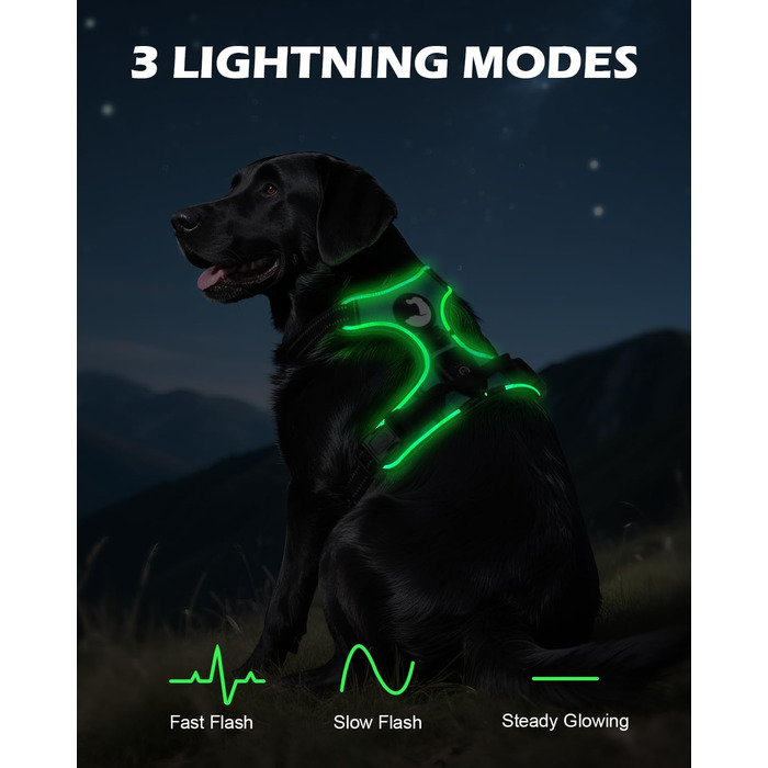 Світловідбиваючий нашийник для собак Joytale, зарядний, середнього розміру, без перетягування, з ручкою, світловідбиваючий, з м'якою підкладкою, регульований, для нічних прогулянок, чорно-синій, M (1 шт.)