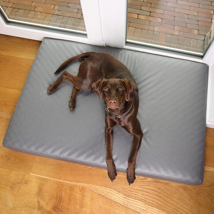 Ваше ліжко для собак GEAR Biella, ортопедичне, з екошкіри, миється, захищає суглоби, високий рівень комфорту (160x100x10 см)