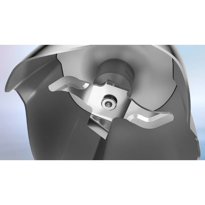 Занурювальний блендер Bosch ErgoMaster MSM6M8X1 1000 Вт, чорний