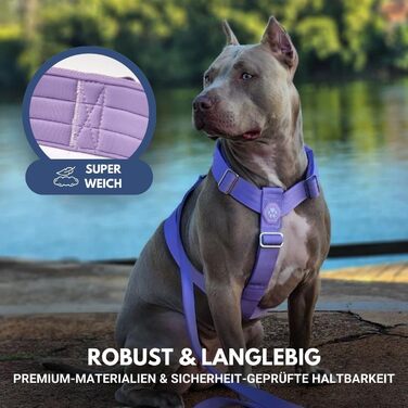 Шлейка для собак Spark Paws No Pull для великих порід, фіолетовий колір, розмір L (16-25 кг), надійна та зручна