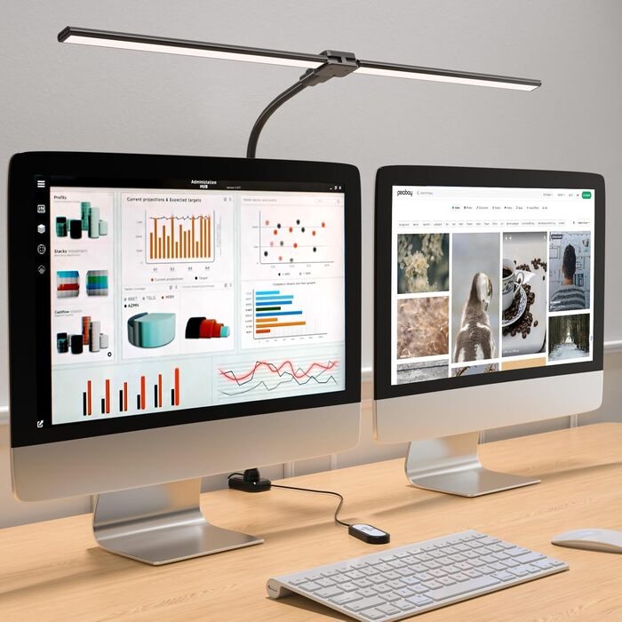 LED настільна лампа Rigors 60см з регулюванням яскравості, 900LM, захист очей, 5 кольорів, 10 рівнів яскравості, гнушкий 360° «лебединий» шийка, для офісу та дому