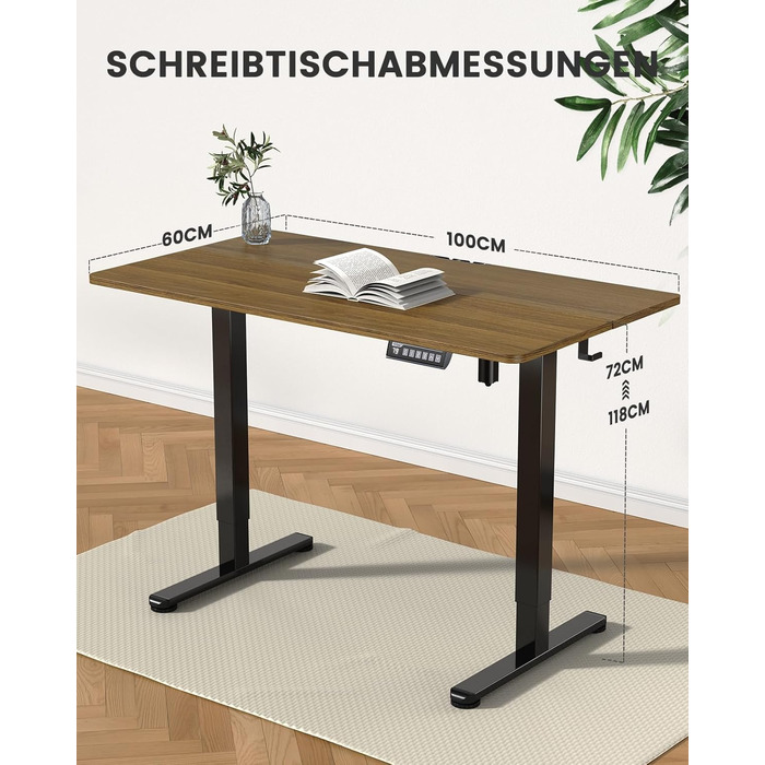 ErGear Electric Standing Desk 100x60cm - Walnut Finish, 4-Memory Smart Desk for Home Office with Mounting Plate