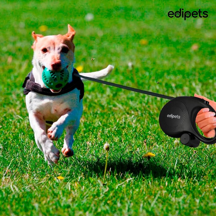 Edipets Розтягувана поводок для собак, 5 м, чорна - для прогулянок та тренувань, підходить для собак маленьких, середніх та великих порід