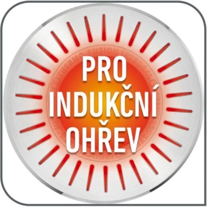 Каструля з кришкою Tefal Intuition для індукційних плит, нержавіюча сталь, 2,9 л, 20 см