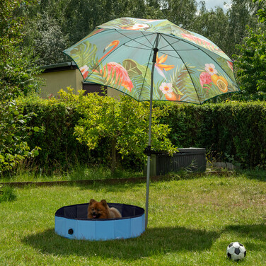 Relaxdays Dog Pool 80x20 cm