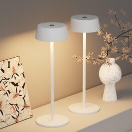 розмір: 3000k (незмінно)