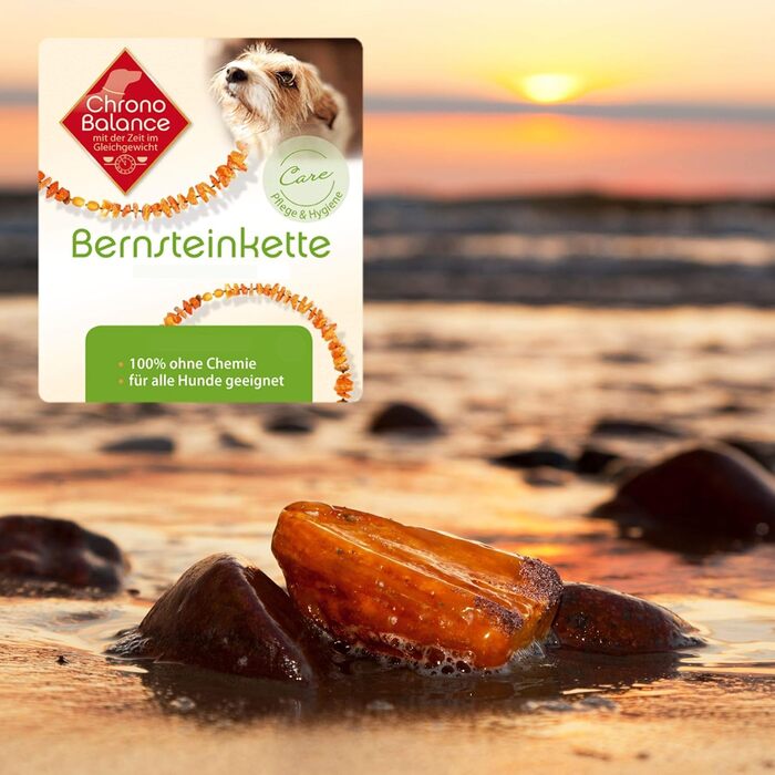 Намисто з бурштину для собак ChronoBalance®: стильне та корисне ожерелье з натурального бурштину з регульованою шкіряною застібкою, підходить для собак різних розмірів, без хімії, довжина 31-34 см