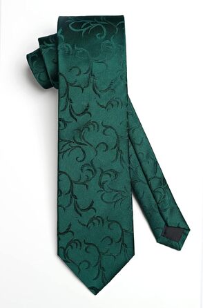 Краватка для чоловіків HISDERN з кишеньковим хустинкою, патерн пейслі, формальний стиль, класична краватка та комплект кишенькових хустинок для чоловіків, N-Зелений-2