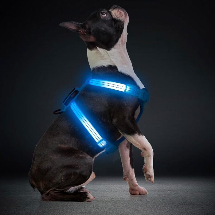 LED нашийник для собак, світлодіодний нашийник для маленьких собак, USB-C, світлодіодна повідка для собак, безпечний нашийник для собак, світлодіодна жилетка для собак, світлодіодна повідка для цуценят, XS, S, світловідбиваючий нашийник для собак, для ніч