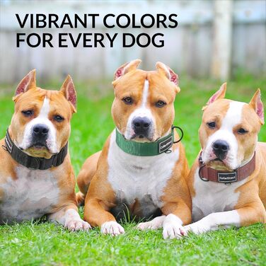 Міцний нашийник для собак великих та середніх порід – регульований, двошаровий нейлон, металева застібка, стійкий до розриву, ідеальний для активних собак (38-58 см)