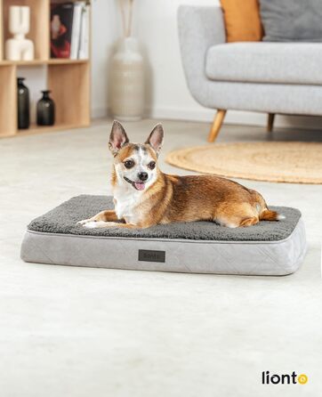 Ортопедичне ліжко для собак Lionto, 60x40x8 см, з м'яким плюшем, знімний та пральний чохол, водовідштовхувальне, для собак та котів, сірого кольору