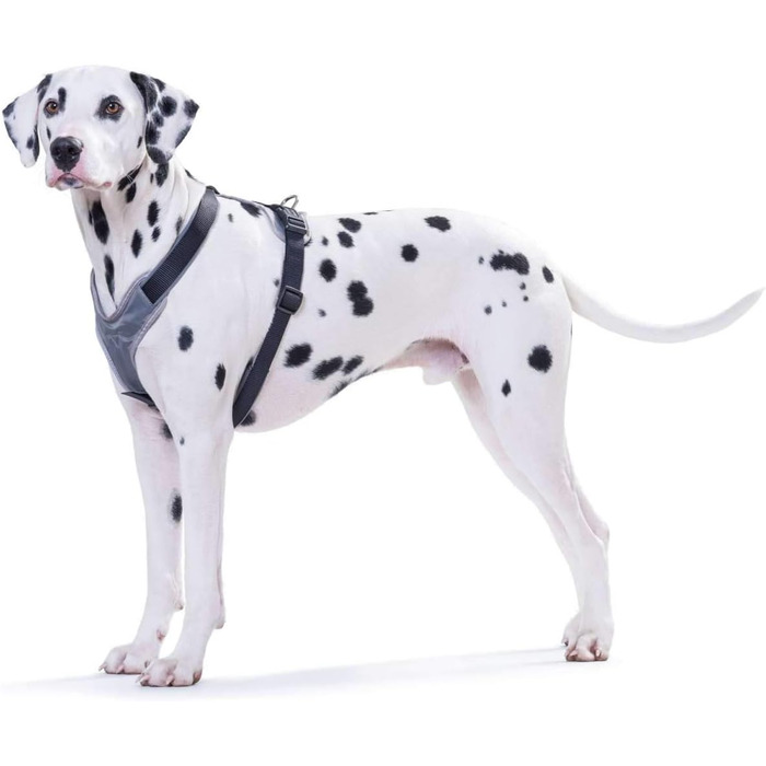 Нашийник для собак HUNTER Neopren, сірий, міцний нейлон, з м'яким неопреном, світловідбиваючий 3M Scotchlite, комфортний, розмір S