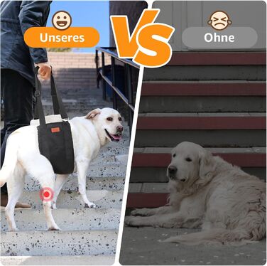 Регульована переноска для собак, підтримуюча пов'язка для реабілітації, поранених, травмованих або літніх собак - шлейка для собак як допоміжний засіб для ходьби для малих та великих собак (Білий, XL)