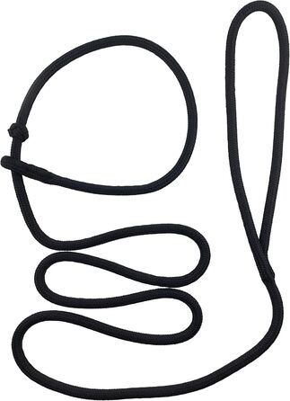 PatchArt-Leine (Green) - Leash and collar in ONE (Black)