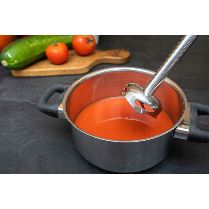 Ручний блендер IDEAL IK1002, 500 Вт, чорний