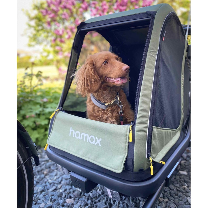 Hamax Puto Hundeanhänger (M, grün) - велосипедний причіп для собак, великий, зелений