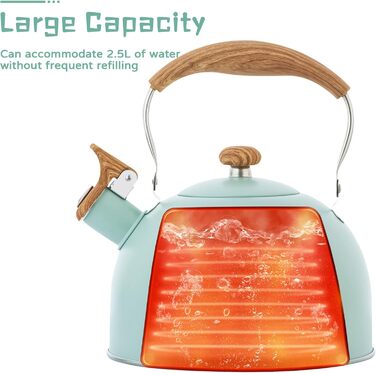 Чайник-заварник зі свистком, нержавіюча сталь, Induktion, для всіх плит, з ергономічною ручкою