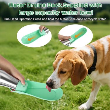 Водяна пляшка для собак на прогулянці: витривала, з нержавіючої сталі, 750 мл, з подвійними стінками, вакуумна ізоляція, не протікає