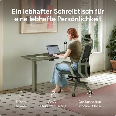 Електричний регульований стіл Desktronic HomeOne 120x60 см з підняттям, білий + зелений, з USB-A та USB-C портами для зарядки, сенсорне керування