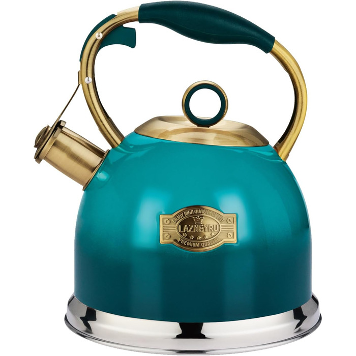 Чайник-свисток 3л з нержавіючої сталі з термостійкою ручкою, для індукційних плит (блакитний)