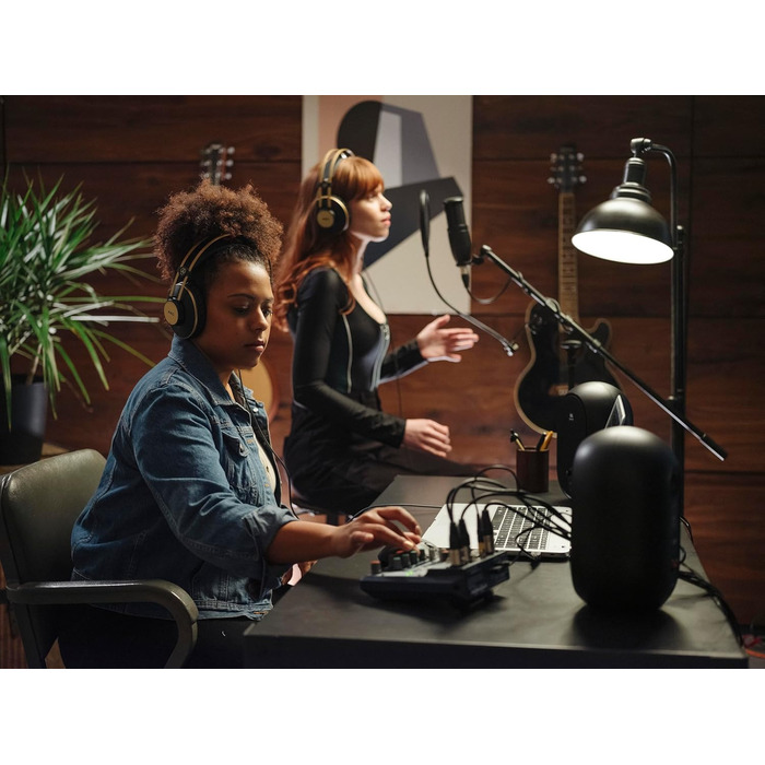 Мікрофон AKG P120 - студійний, велика мембрана, для запису, чорний