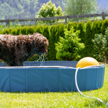 Relaxdays Dog Pool 160x30 cm